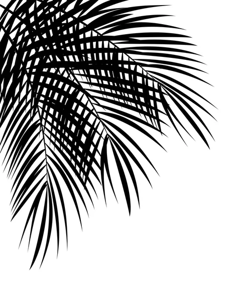 Palm Leaf Vector Background Illustration — Stock Vector