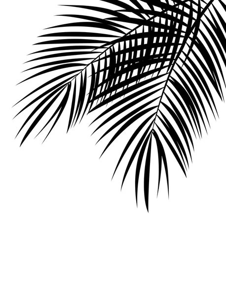 Palm Leaf Vector Background Illustration — Stock Vector