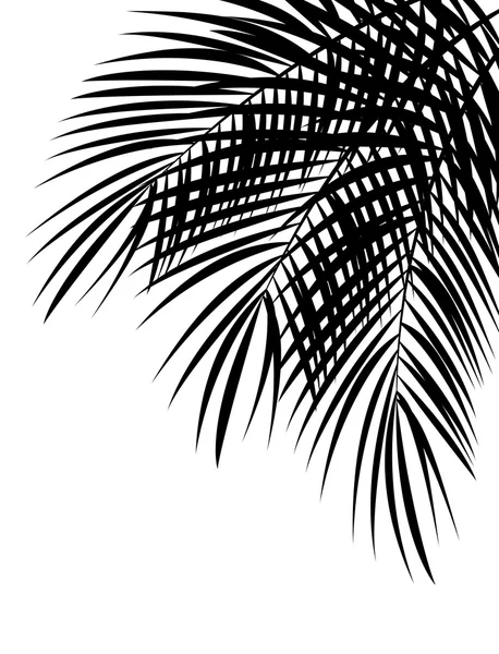 Palm blad vectorillustratie achtergrond — Stockvector