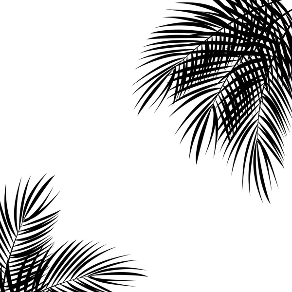 Ilustrasi Latar Belakang Palm Leaf Vector - Stok Vektor