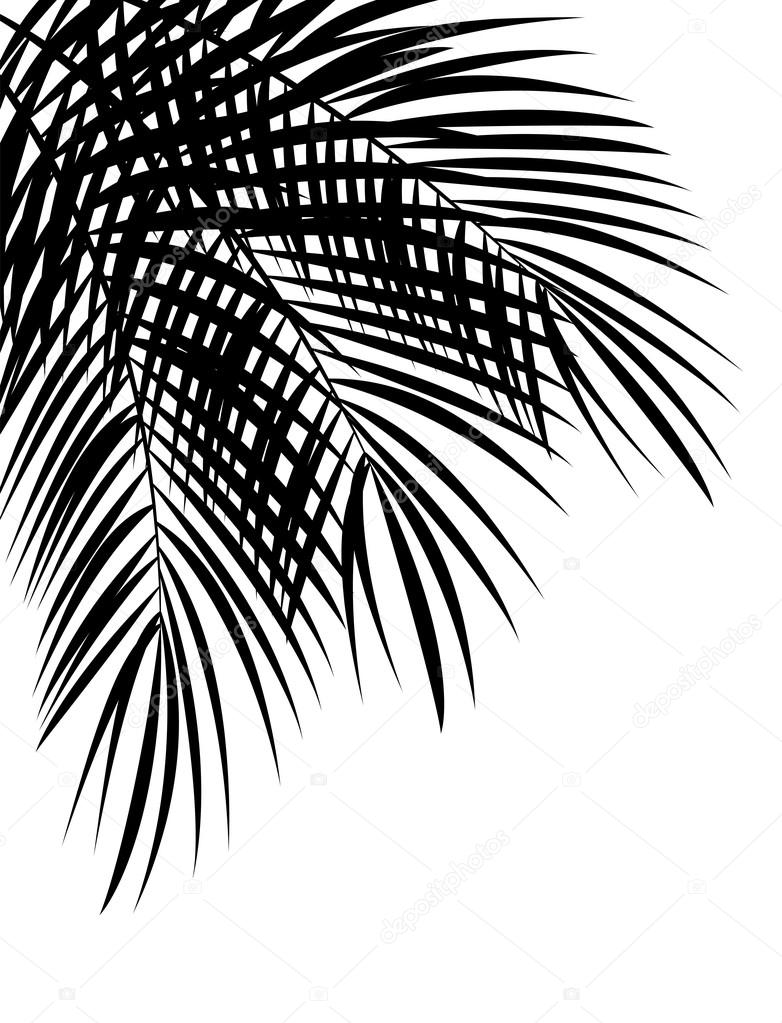 Palm Leaf Vector Background Illustration