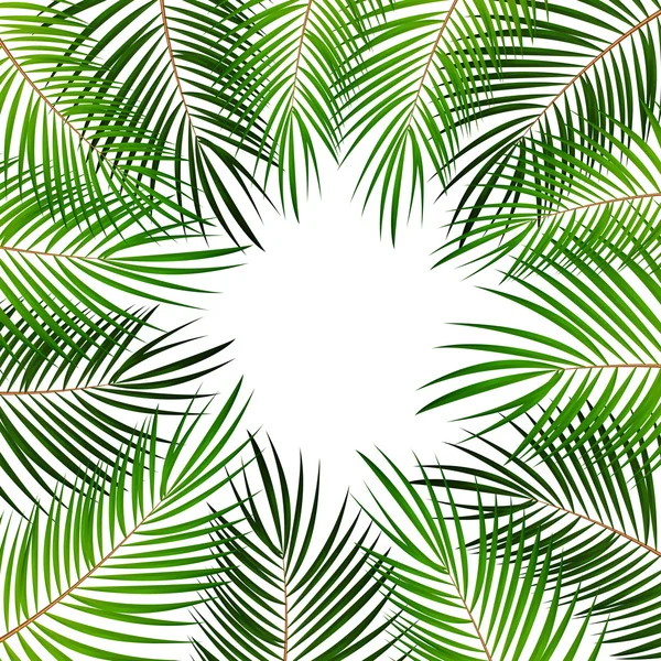 Palm Leaf Vector Background Illustration — Stock Vector