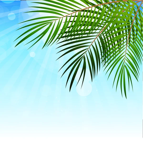 Palm Leaf Vector Background Illustration — Stock Vector