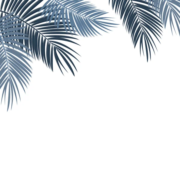 Palmblatt auf weißem Hintergrund mit Platz für Ihren Textvektor — Stockvektor