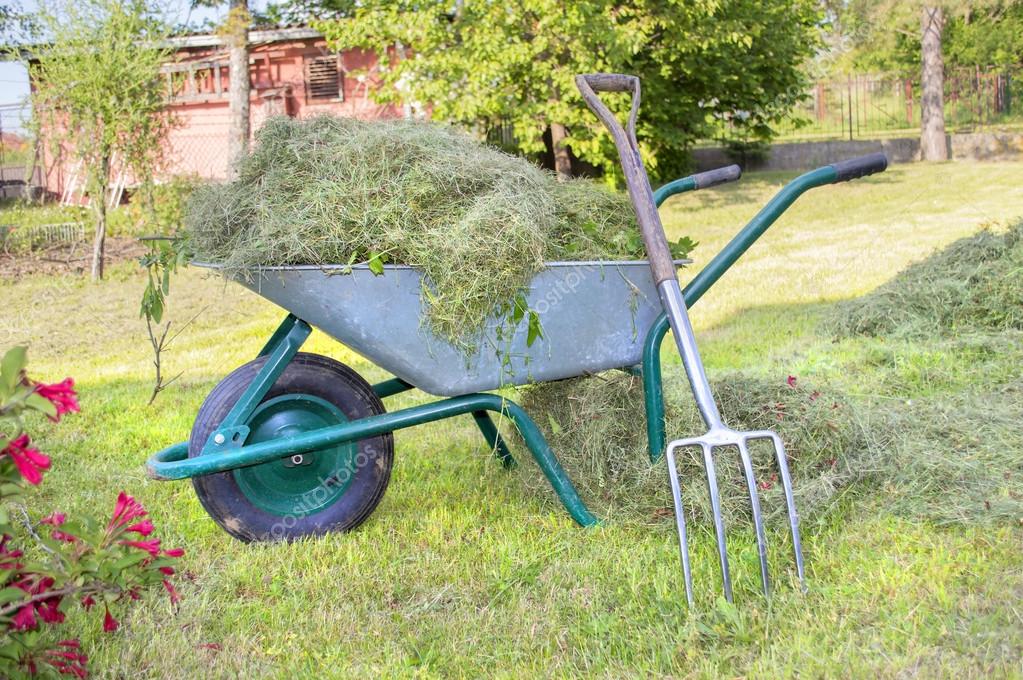 Wheelbarrow full with hay and pitchfork leaned on Stock Photo by ©Vuk