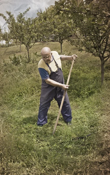 Stary człowiek koszenie trawy w tradycyjny sposób z kosą — Zdjęcie stockowe