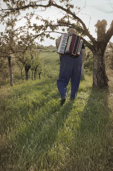 Old man walking in field with accordion on his back