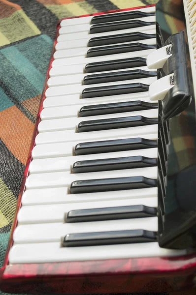 Détail accordéon sur couverture à carreaux — Photo