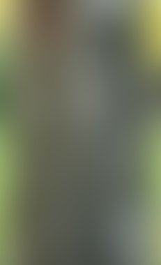 açık ve koyu yeşil bulanık arka plan