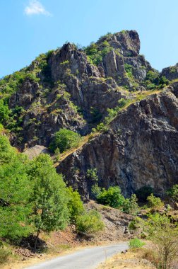 Madzharovo, Bulgaristan 23 Ağustos: Nadir görülen Akbaba türü Madzharovo, Bulgaristan 2020 Doğu Rodoplar için doğa koruma alanı