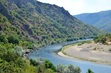 Madzharovo, Bulgaristan 23 Ağustos: Nadir görülen Akbaba türü Madzharovo, Bulgaristan 2020 Doğu Rodoplar için doğa koruma alanı
