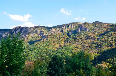 Madzharovo, Bulgaristan 23 Ağustos: Nadir görülen Akbaba türü Madzharovo, Bulgaristan 2020 Doğu Rodoplar için doğa koruma alanı