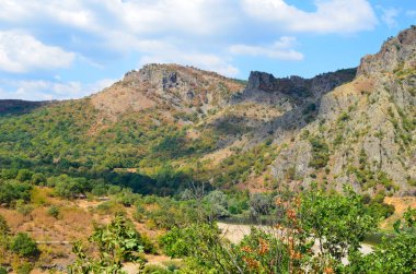 Madzharovo, Bulgaristan 23 Ağustos: Nadir görülen Akbaba türü Madzharovo, Bulgaristan 2020 Doğu Rodoplar için doğa koruma alanı