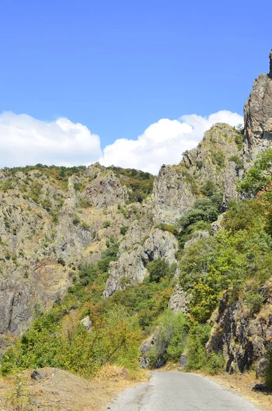 2020年8月23日ブルガリア マドハロヴォ 希少なヴァルチャー種の東斜面自然保護区 マドハロヴォ ブルガリア2020年 — ストック写真
