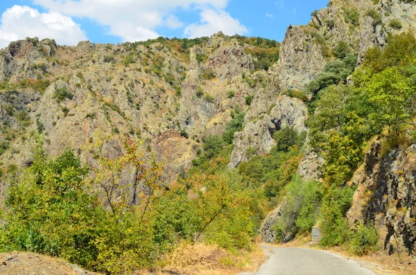 Madzharovo Bulgarien August Naturschutzgebiet Ostrhodopen Für Seltene Geierarten Madzharovo Bulgarien — Stockfoto