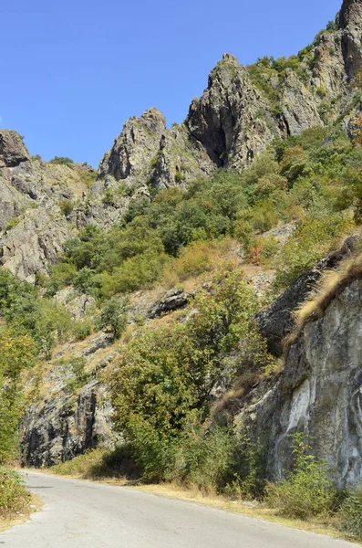 2020年8月23日ブルガリア マドハロヴォ 希少なヴァルチャー種の東斜面自然保護区 マドハロヴォ ブルガリア2020年 — ストック写真