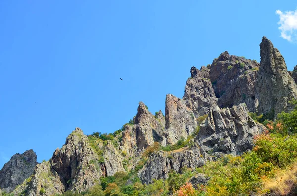 Madzharovo Bulgarien August Naturschutzgebiet Ostrhodopen Für Seltene Geierarten Madzharovo Bulgarien — Stockfoto