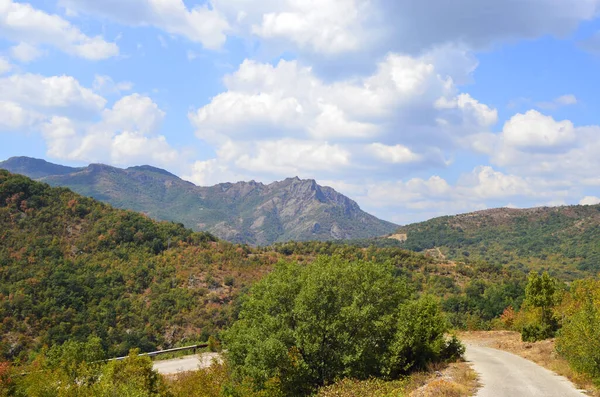 Madzharovo Bulgaria August Nature Conservation Area Eastern Rhodopes Rare Vulture — Stock Photo, Image