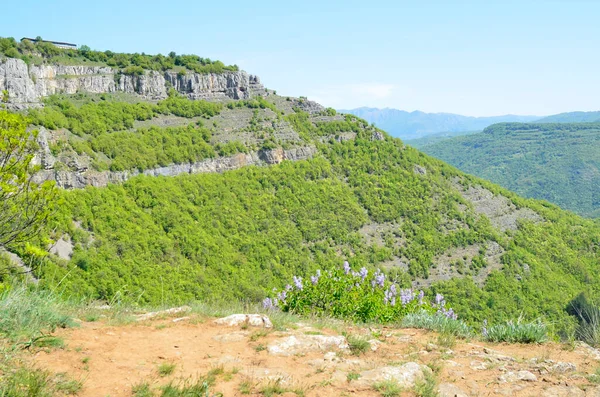 Iskar Gorge Bulgaria April Hiking Vazovs Ecopath Bulgaria — Stock Photo, Image