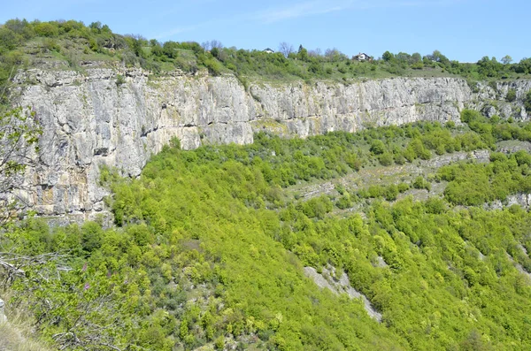 Iskar Gorge Bulgaria Abril Senderismo Por Los Vazovs Ecopath Bulgaria — Foto de Stock