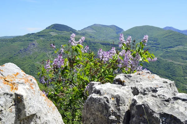 Iskar Gorge Bulgaristan Nisan Bulgaristan Vazovs Eko Yolu Nda Yürümek — Stok fotoğraf