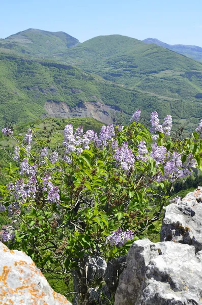 Iskar Gorge Bulgaristan Nisan Bulgaristan Vazovs Eko Yolu Nda Yürümek — Stok fotoğraf