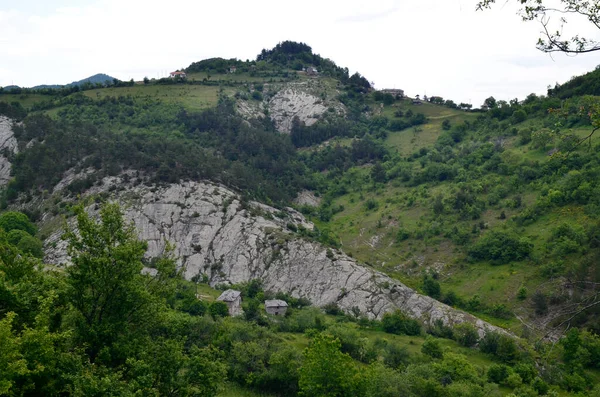 Réserve Kormisosh Bulgarie Avril Randonnée Dans Réserve Kormisosh Sanctuaire Thrace — Photo