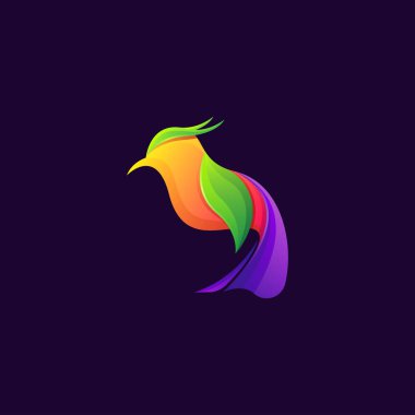 Harika renkli bir kuş logosu tasarımı şablonu. Kimlik içeriği için uygun