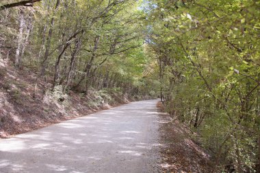 Yolun Crimea'da Dağları