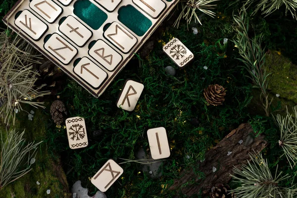 set of wooden runes in a box lie on the moss in the forest. rectangular wooden platforms on which Scandinavian runes are carved lie on green moss surrounded by salt, cones, fir needles and bark and Firefly lights