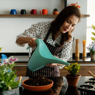 Güzel Asyalı kadın önlük giyip, çiçekleri ve bitkileri suluyor ve satışa hazırlanıyor..