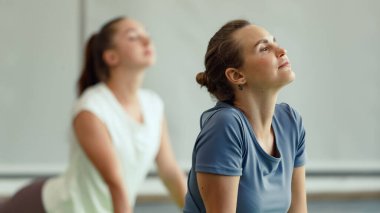 İki beyaz kadın Yoga oyuncusu vücut esneme hareketleri yapıyor ve birlikte alıştırma yapıyorlar. Kişisel sağlık ve beden ve zihin dengesi için fikir.