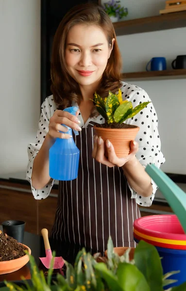 Beautiful Asian woman wearing apron watering small plants and flowers in home preparing for sell.
