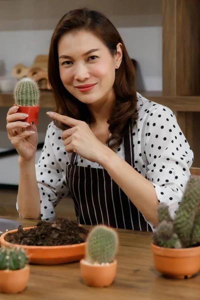 Beautiful Asian woman wearing apron showing a small pod of cactus with happy and proud for her hobby and home gardening in free time.