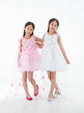 İki küçük Asyalı balerin, pembe ve beyaz güller içinde bale elbisesi, kırmızı ayakkabılar ve yüksek topuklu ayakkabılarla birlikte kameraya bakarken çekilmiş bir portre resmi..