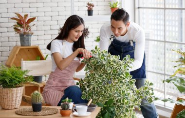 Beyaz ayna odasında gülümseyen ve yaprağa dokunan kız. Ökse otu inciri, ökse otu çiçek ağacı. Çevre dostu. Rahatlamak için doğal bitki bakımı. Yaşam tarzı tatlı görünüyor.