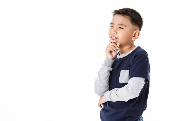 Piękny Portret Wycinanka Młodego Zdrowego Azjatyckiego Chłopca Szarym Swetrze Dżinsowej — Zdjęcie stockowe