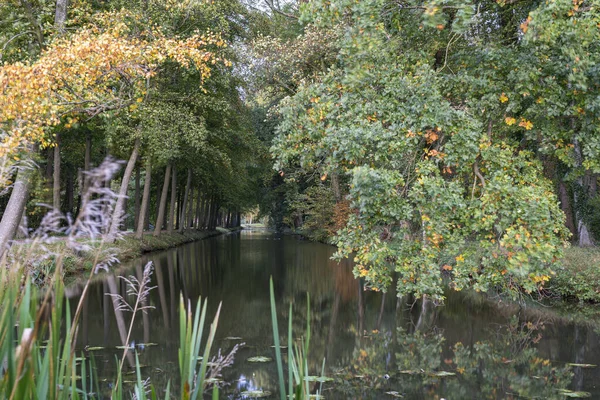 View Elsehof Cottage Canal Surrounded Old Trees Autumn Colors Linschoten — Stock Photo, Image