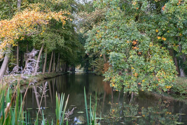 Vue Depuis Chalet Elsehof Sur Canal Entouré Vieux Arbres Aux — Photo