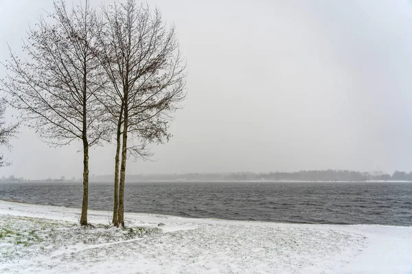 The drifting snow covers the surroundings of lake Zoetermeerse Plas in Zoetermeer