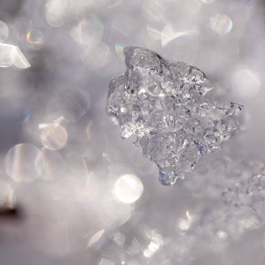 Ağacımdaki eriyen kar pırıl pırıl parlıyor.