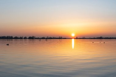 Hollanda 'daki Zoetermeerse Plas Gölü' nde gün batımında kürek çeken iki kişi evlerine doğru kürek çekiyor.