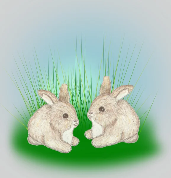 Two little Bunnies — Stock Photo, Image