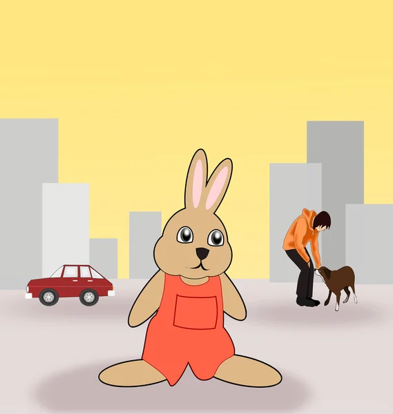 Rabbit in Town. — Stock Photo, Image