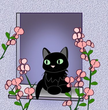 Pencerede kedi