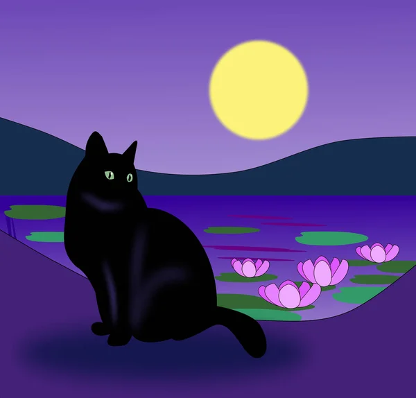 黑猫坐在百合花池塘边的月光下 — 图库照片