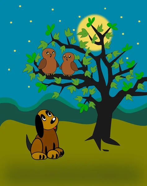 Küçük köpek ve baykuş.