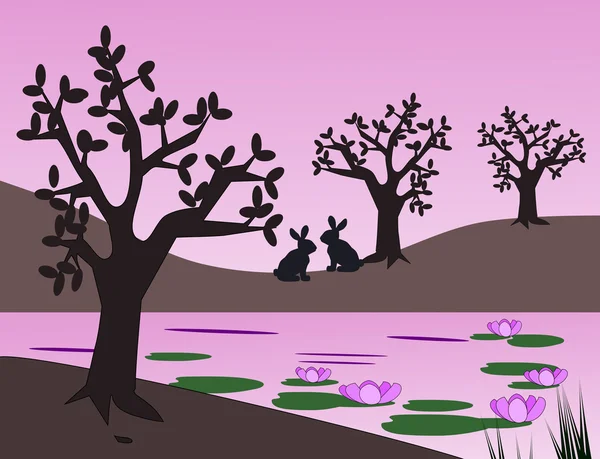 Yabani tavşan havuz