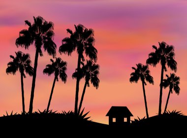 Palmiye ağaçları arasında küçük ev