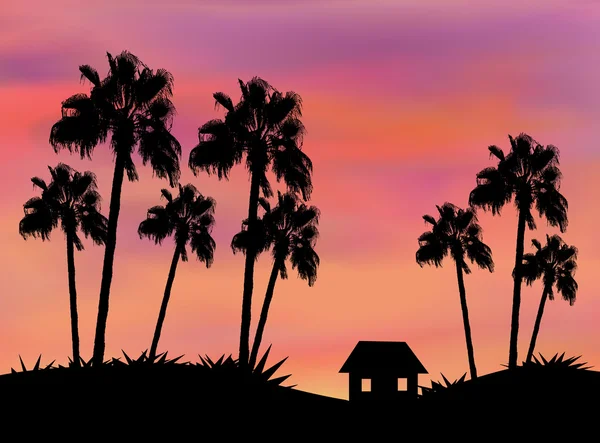 Huisje tussen palmbomen — Stockfoto